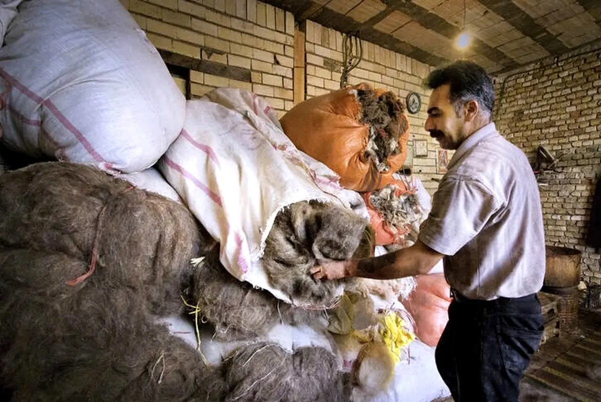 هنری برگرفته از طبیعت/ تصاویر