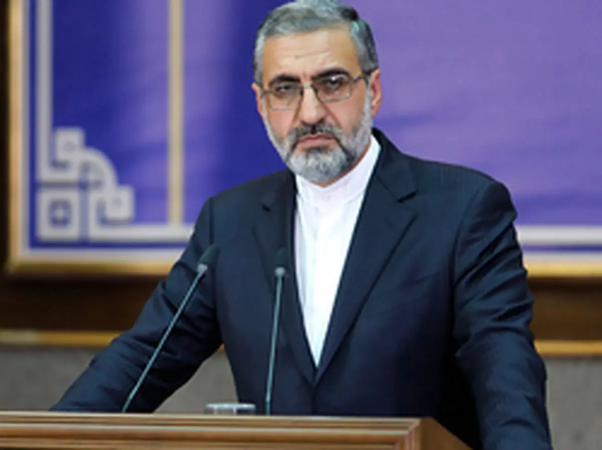 سخنگوی قوه قضاییه خبر داد: بازداشت افرادی در رابطه با سقوط هواپیمای اوکراینی / جعبه سیاه به فرانسه منتقل شده