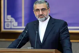 سخنگوی قوه قضاییه خبر داد: بازداشت افرادی در رابطه با سقوط هواپیمای اوکراینی / جعبه سیاه به فرانسه منتقل شده