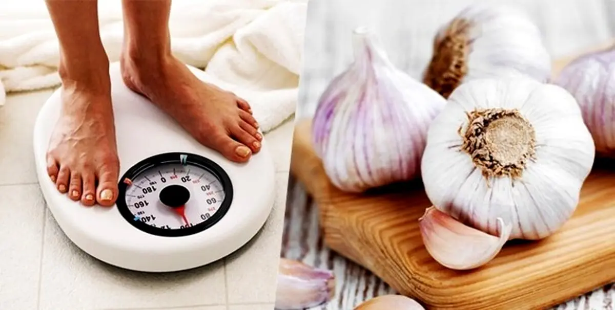 3 دستورالعمل ساده برای کاهش وزن سریع با سیر