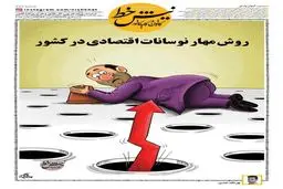روش مهار نوسانات اقتصادی در کشور / کاریکاتور