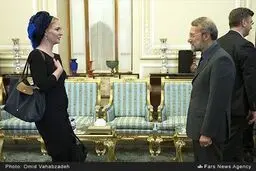 حجاب نماینده پارلمان اروپا در دیدار با لاریجانی/عکس