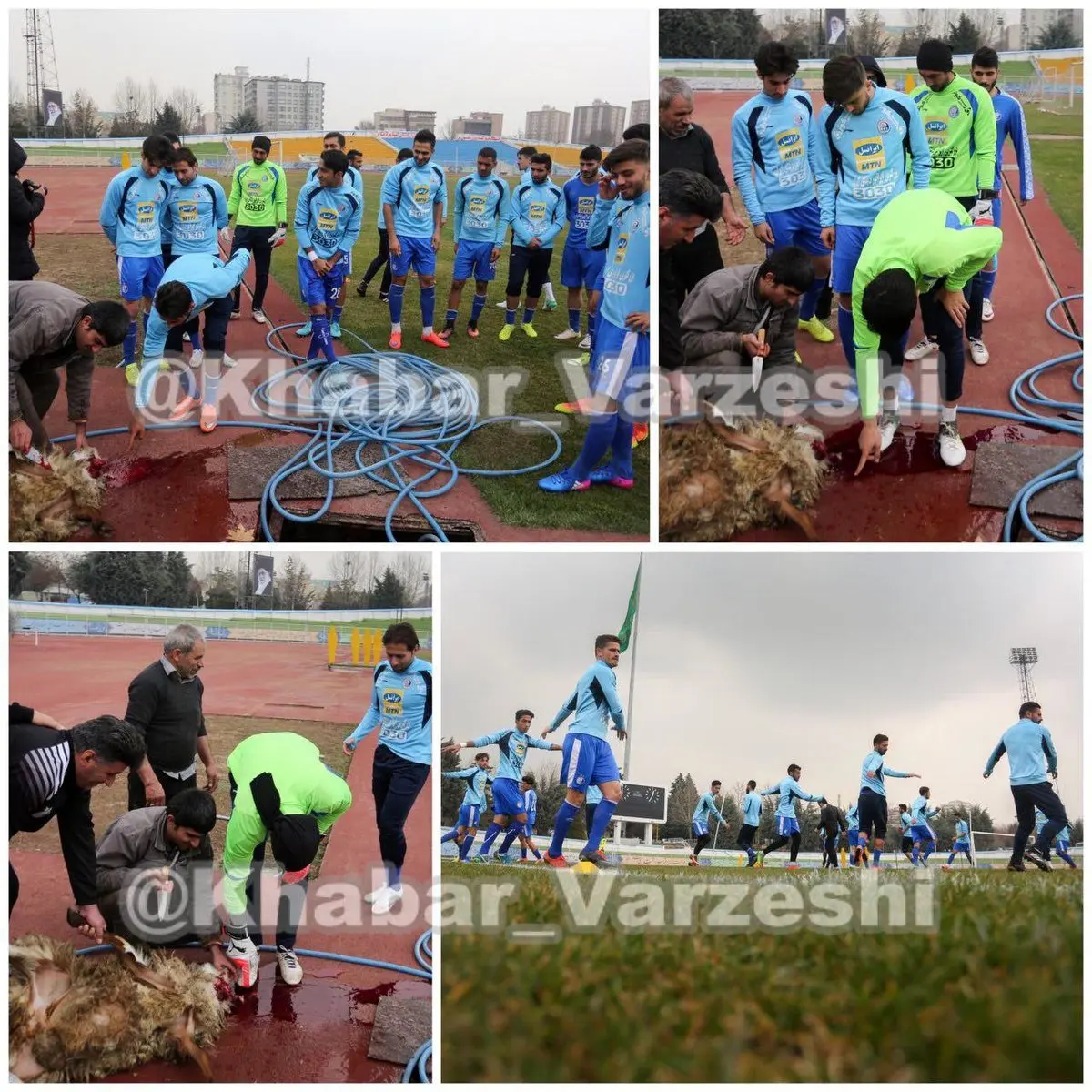 قربانى كردن گوسفند در حاشيه تمرين امروز استقلال/عکس