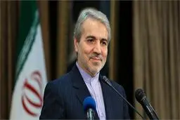 سخنگوی دولت : به تیم سیاسی صدا و سیما انتقاد داریم / توتال چه ربطی به منافقین دارد؟