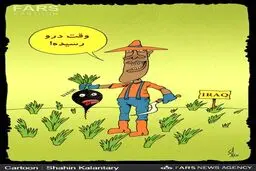 فصل برداشت داعش/کاریکاتور