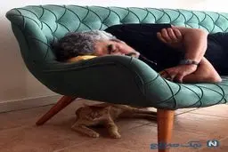 سروش صحت و گربه اش!