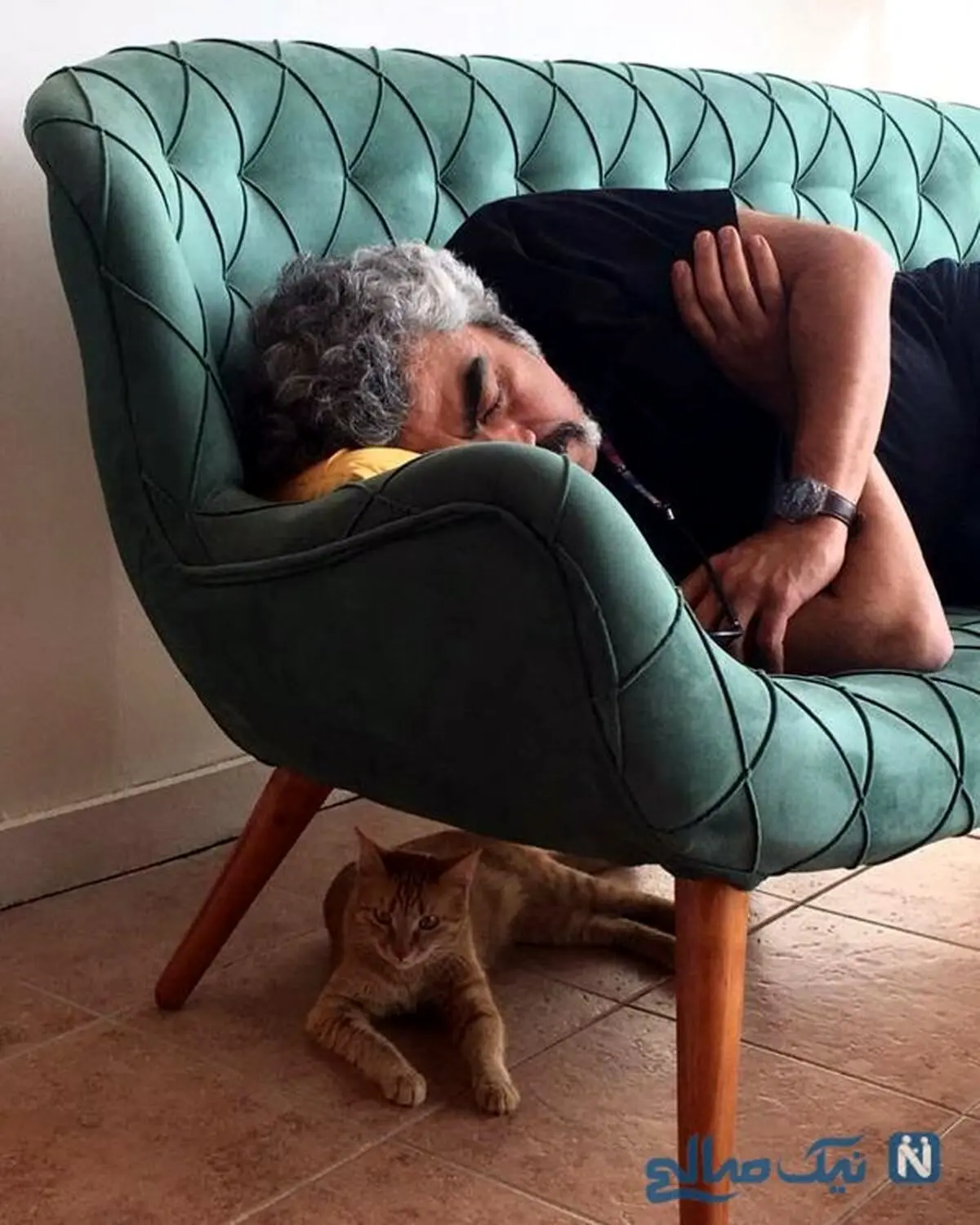 سروش صحت و گربه اش!