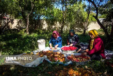 مازندران