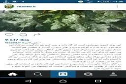 مشغله های حمید رسایی پس از خداحافظی با مجلس/ عکس