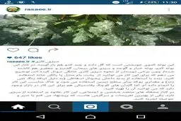 مشغله های حمید رسایی پس از خداحافظی با مجلس/ عکس