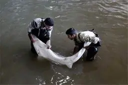 یک ترور بیولوژیک علیه ایران در دریای خزر