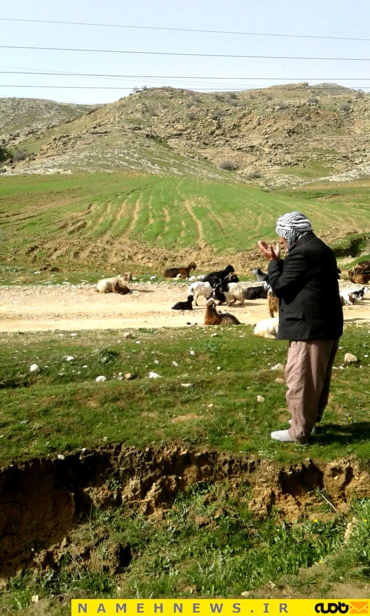 بی ریا ترین نماز دنیا در این تصویر زیبا/ عکس