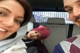 سلفی 3نفره مهناز افشار در ماشین / عکس