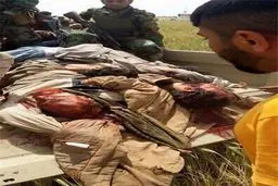 اولین تصاویر از کشته شدن «عزت الدوری» معاون دیکتاتور صدام