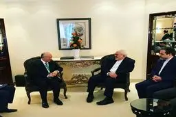 دیدار ظریف یا آمانو/عکس