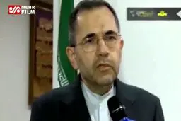 واکنش سفیر ایران در سازمان ملل درباره پهپاد ساقط‌شده