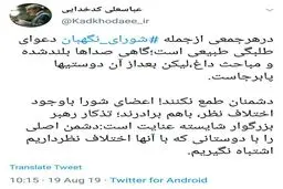 توئیت کدخدایی