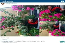 روایت تصویری خانم بازیگر از شعر سهراب +عکس