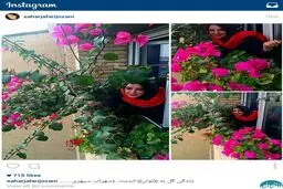 روایت تصویری خانم بازیگر از شعر سهراب +عکس