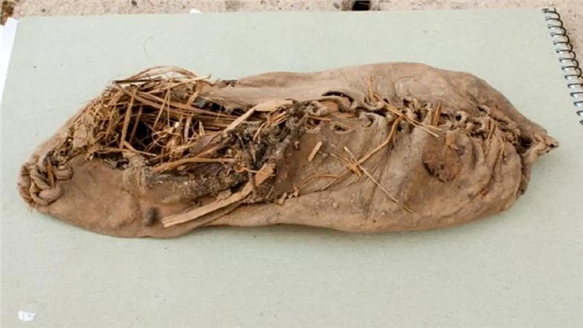 قدیمی‌ترین و بزرگ‌ترین کفش چرمی با ۳۵۰۰ سال قدمت کشف شد +عکس