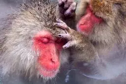 عکس روز نشنال جئوگرافیک