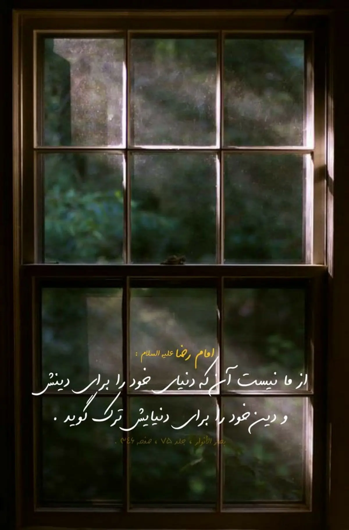 حدیث نورانی و زیبای امام رضا (ع) در مورد دین و دنیا