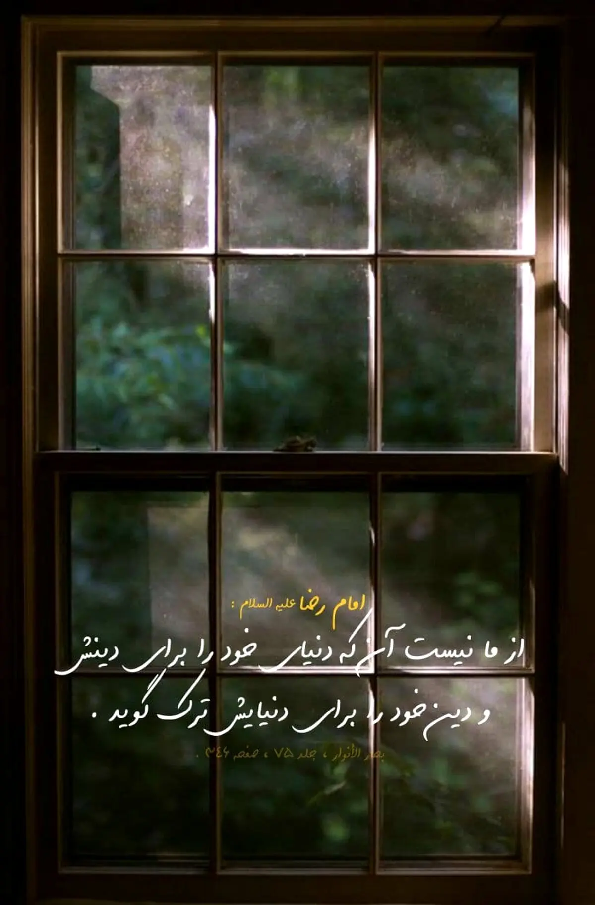 حدیث نورانی و زیبای امام رضا (ع) در مورد دین و دنیا