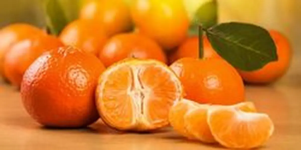 کنترل فشارخون با یک نوشیدنی خوشمزه + طرز تهیه