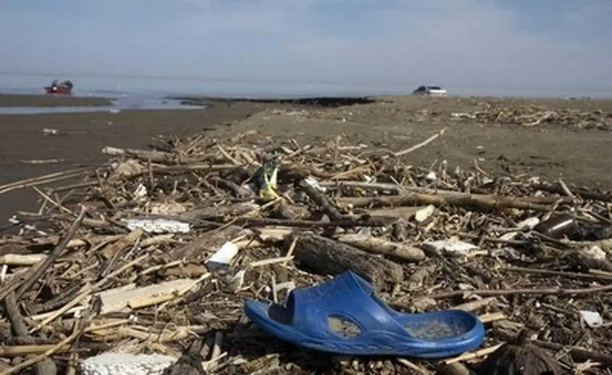 بخاطر این اتفاق برای خودمان متاسف باشیم/تصاویر