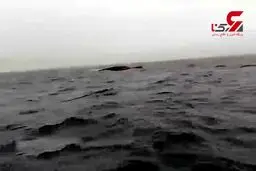 فیلم لحظه غرق شدن شناور ایرانی در خلیج فارس+ اسامی مفقودین
