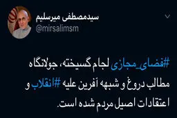 توئیت میرسلیم در فضای مجازی علیه فضای مجازی