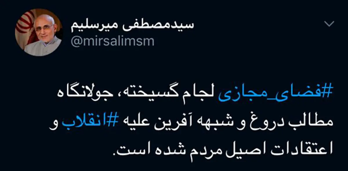 توئیت میرسلیم در فضای مجازی علیه فضای مجازی