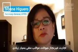 تجارت کثیفی که عامل اصلی کروناست! + ویدئو