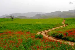 تصاویری از زیبایی‌های استان خراسان شمالی