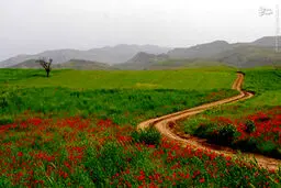 تصاویری از زیبایی‌های استان خراسان شمالی