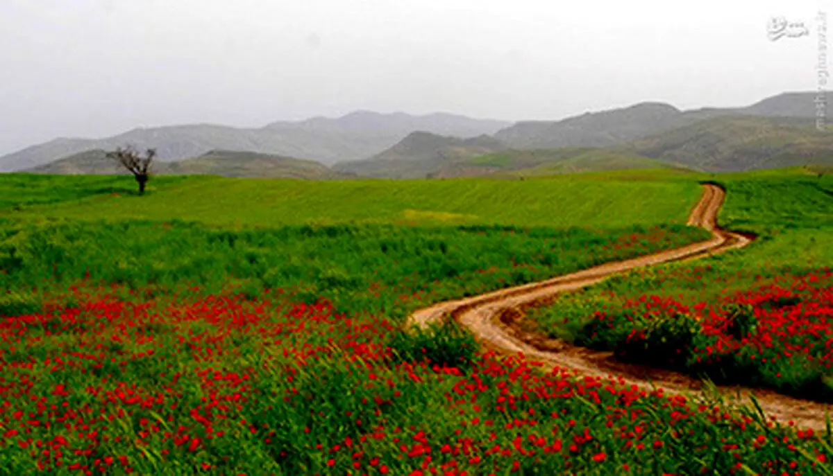 تصاویری از زیبایی‌های استان خراسان شمالی