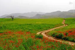 تصاویری از زیبایی‌های استان خراسان شمالی