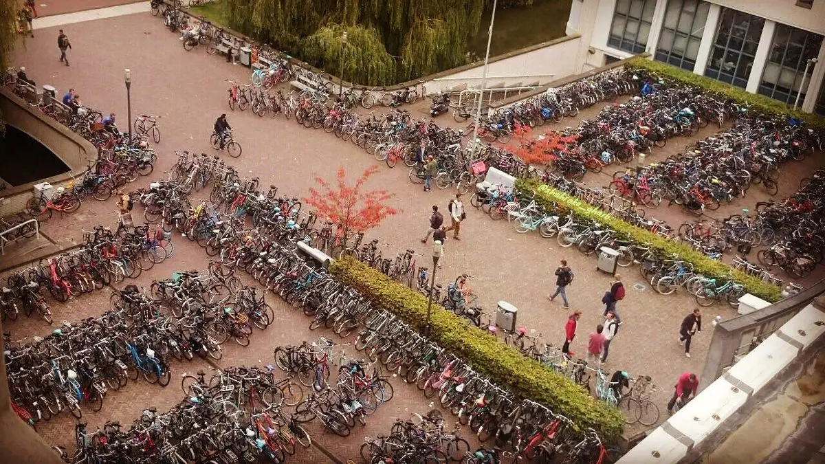 نمایی از دوچرخه های پارک شده مقابل یکی از دانشکده های دانشگاه دلفت (هلند)