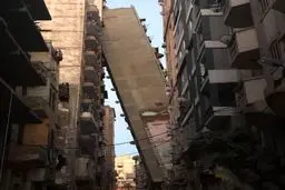 مسکن مهر سر خم کرد/عکس