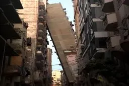 مسکن مهر سر خم کرد/عکس