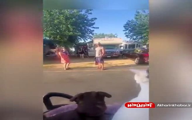 گربه ای که مسافر کشی میکنه! + ویدئو