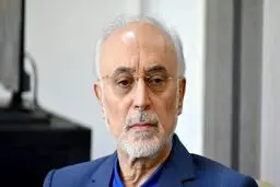 واکنش صالحی به توافق ایران و آژانس