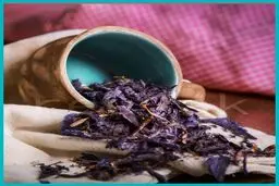با گل گاو زبان این بیماری ها را از خود دور کنید