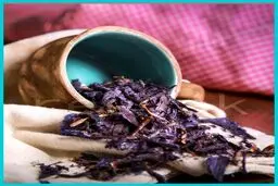 با گل گاو زبان این بیماری ها را از خود دور کنید