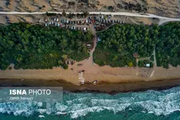 تصاویر پایان فصل صید ماهیان استخوانی دریای خزر