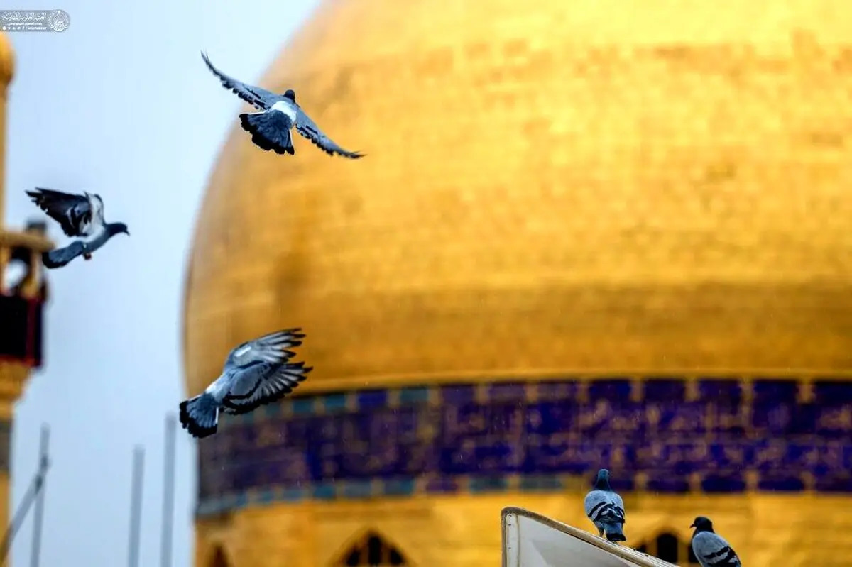 برافراشته شدن پرچم جشن در نجف اشرف
