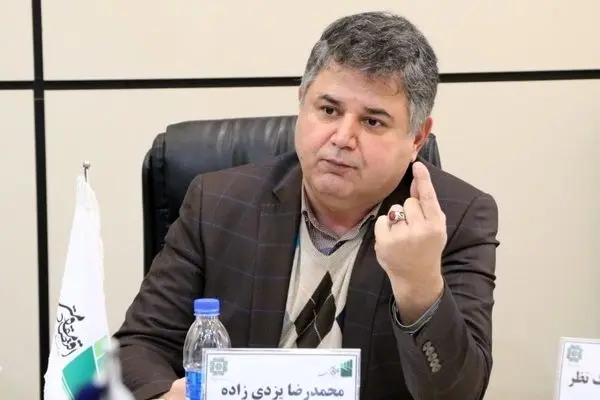 اقتصاد کشور رها شده است/ دست سیاسی‌ها در کار است