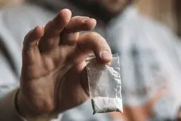 تصاویر  کوکائین قاچاق در سیب زمینی صادراتی!