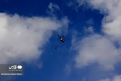 آتش سوزی جنگل