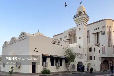 مدینه منوره